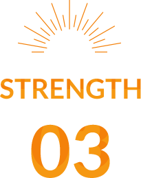 strength 03