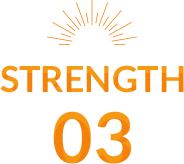 strength 03
